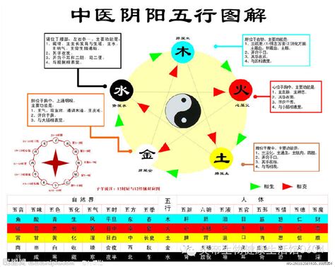 土剋什麼|五行相生相剋:五行,四季五行,相生相剋,概念對應,五行。